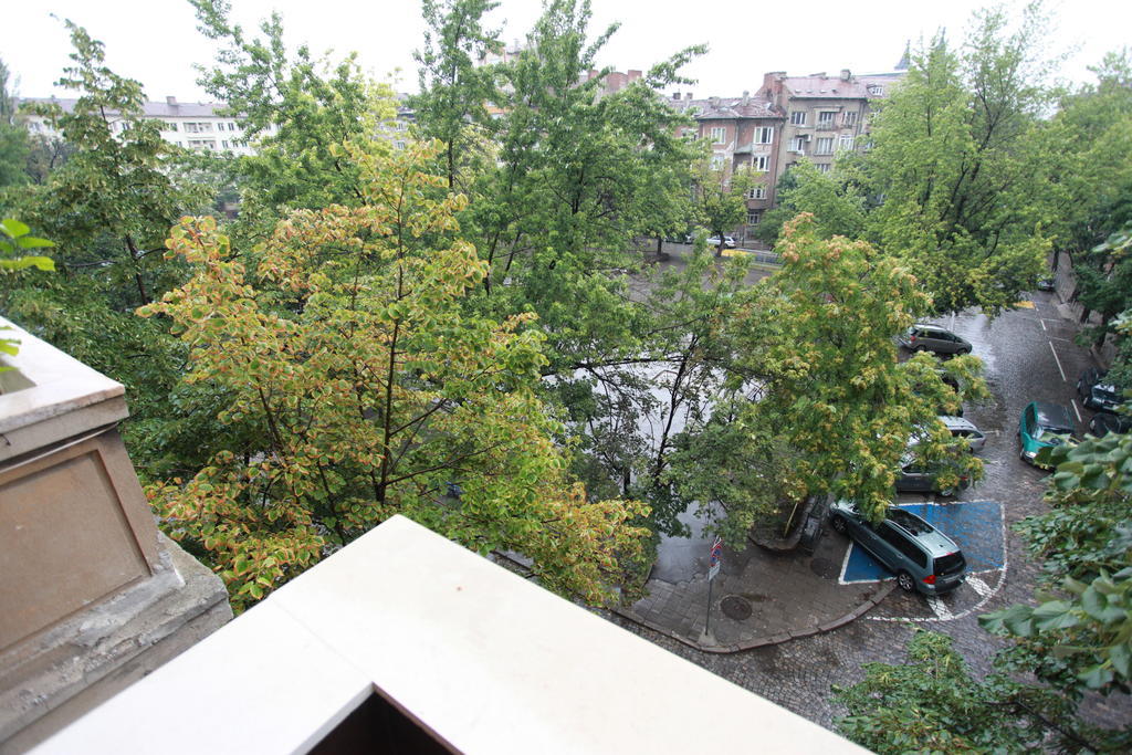 Apartament Brown